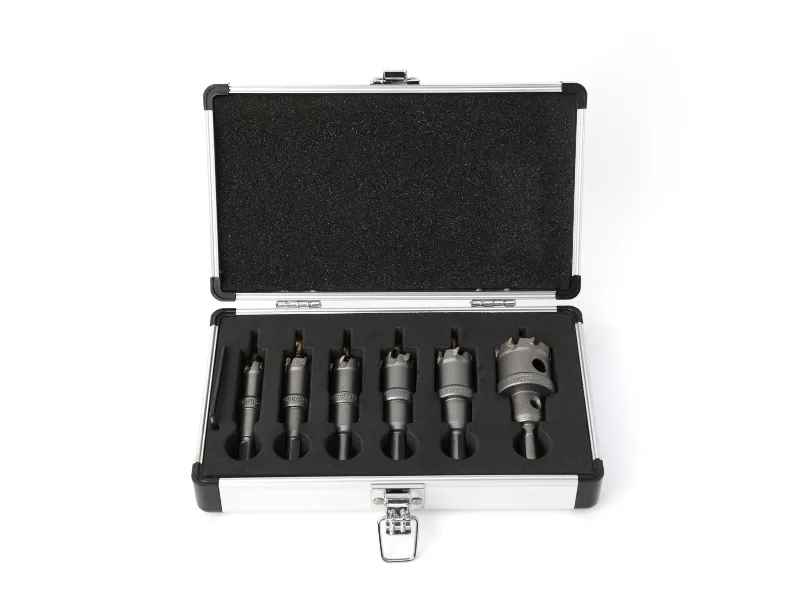 6-teiliges Wandlochs&auml;gen-Set